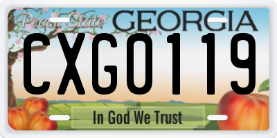 GA license plate CXG0119