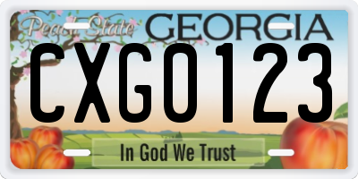 GA license plate CXG0123