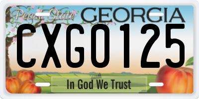GA license plate CXG0125
