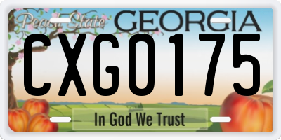 GA license plate CXG0175
