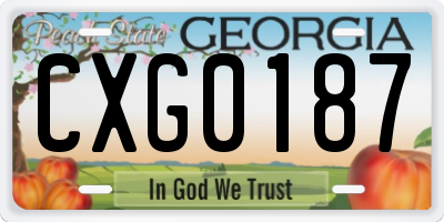 GA license plate CXG0187