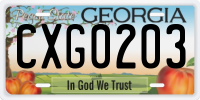GA license plate CXG0203