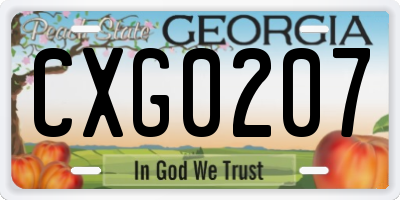 GA license plate CXG0207