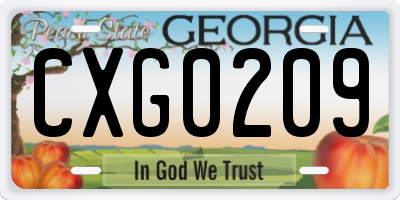 GA license plate CXG0209