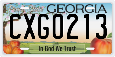 GA license plate CXG0213
