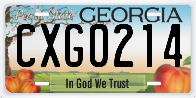 GA license plate CXG0214