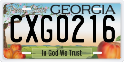 GA license plate CXG0216