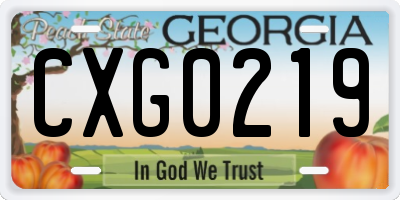 GA license plate CXG0219