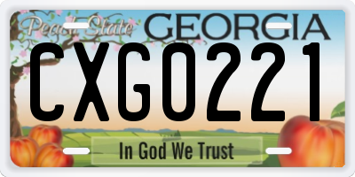 GA license plate CXG0221