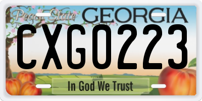 GA license plate CXG0223