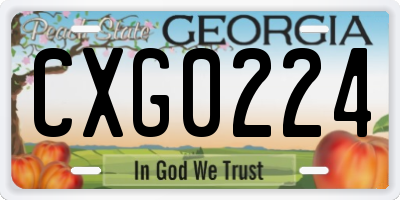 GA license plate CXG0224