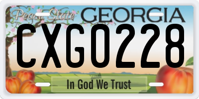 GA license plate CXG0228