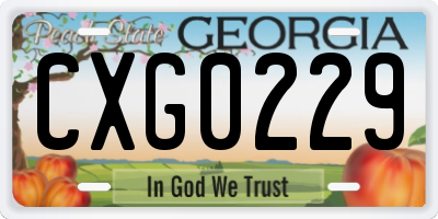 GA license plate CXG0229