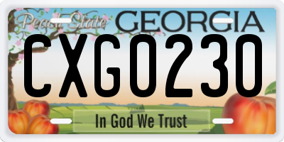 GA license plate CXG0230