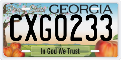 GA license plate CXG0233