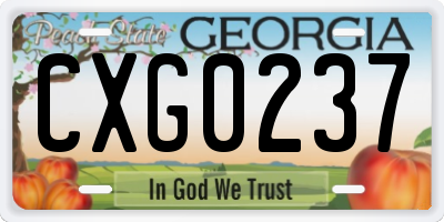 GA license plate CXG0237