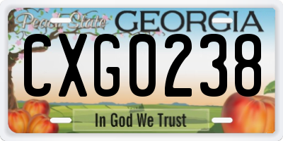 GA license plate CXG0238
