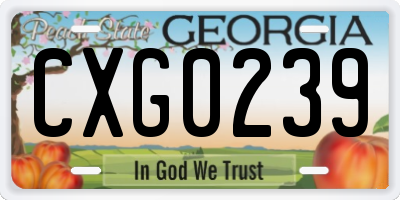 GA license plate CXG0239