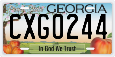 GA license plate CXG0244
