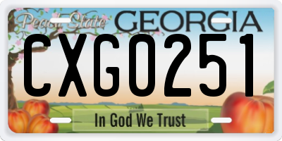 GA license plate CXG0251
