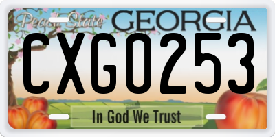 GA license plate CXG0253