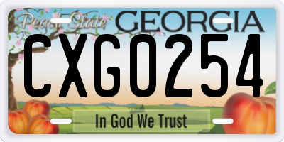 GA license plate CXG0254