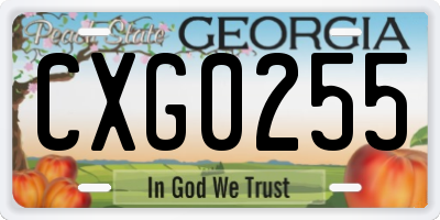 GA license plate CXG0255