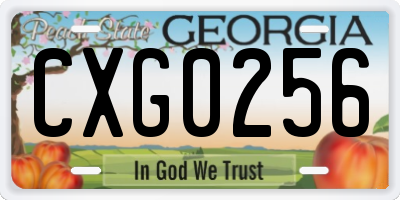 GA license plate CXG0256