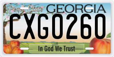 GA license plate CXG0260