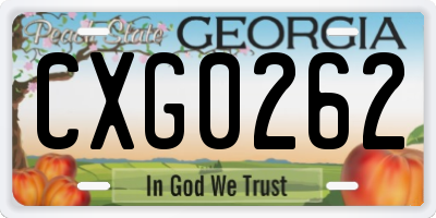 GA license plate CXG0262