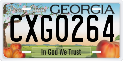 GA license plate CXG0264