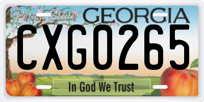 GA license plate CXG0265