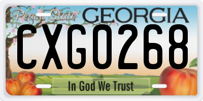 GA license plate CXG0268