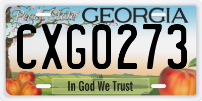 GA license plate CXG0273