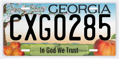 GA license plate CXG0285