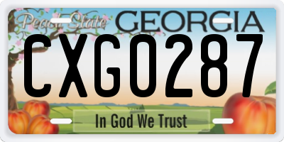 GA license plate CXG0287