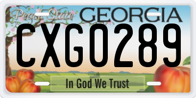 GA license plate CXG0289