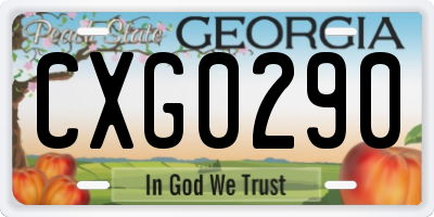 GA license plate CXG0290