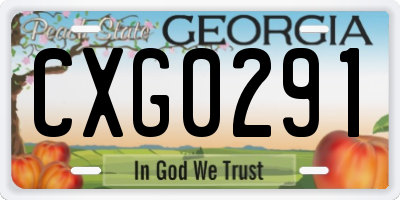 GA license plate CXG0291