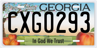 GA license plate CXG0293