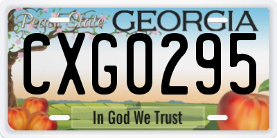 GA license plate CXG0295