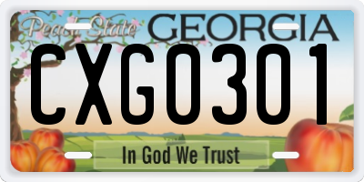 GA license plate CXG0301