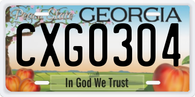 GA license plate CXG0304
