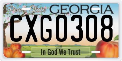 GA license plate CXG0308