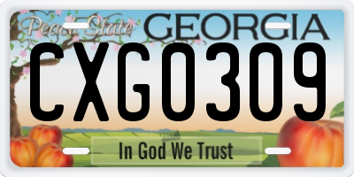 GA license plate CXG0309