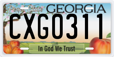 GA license plate CXG0311