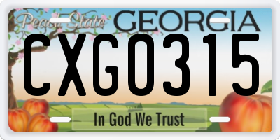 GA license plate CXG0315