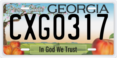 GA license plate CXG0317