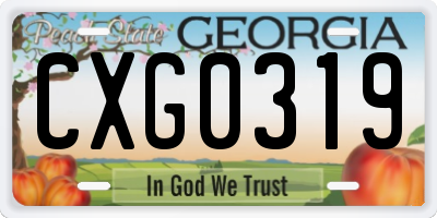 GA license plate CXG0319