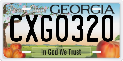 GA license plate CXG0320